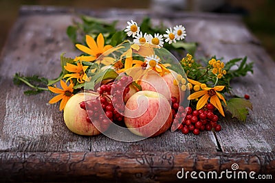 apples viburnum decorated with wildflowers on vintage wooden gray white background from old boards Stock Photo