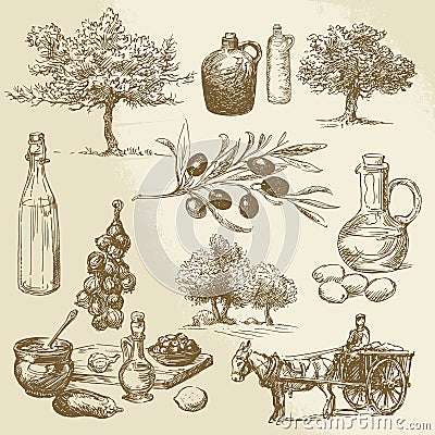 Harvest and olive product Vector Illustration