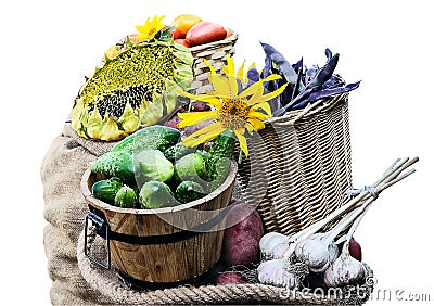 Harvest Stock Photo