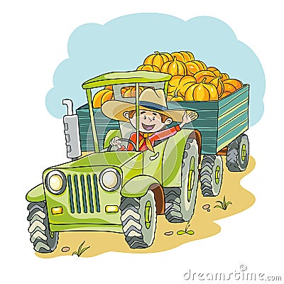 Harvest pumpkins Vector Illustration