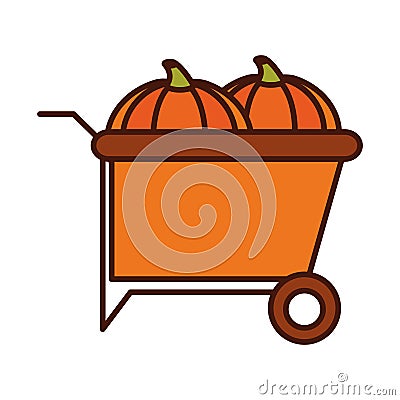 Harvest pumpkins in the pushcart line and fill icon Vector Illustration