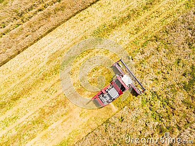 Harvest of rapeseed field. Stock Photo