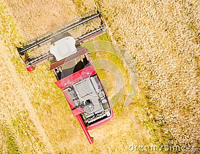 Harvest of rapeseed field. Stock Photo