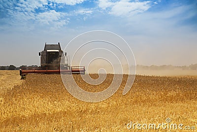 Harvest time Stock Photo