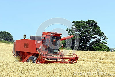 Harvest time Stock Photo