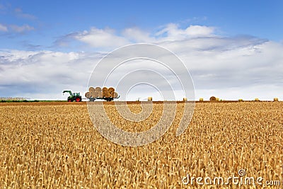 Harvest time Stock Photo