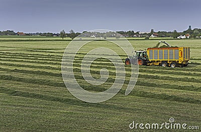 Harvest time Stock Photo