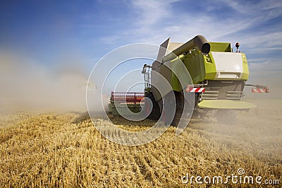 Harvest time Stock Photo