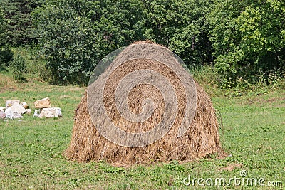 Harvest time: a large round bale of hay on a mown summer meadow Stock Photo