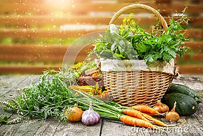 Harvest vegetables with herbs and spices Stock Photo