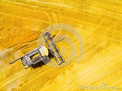 Harvest of wheat field. Aerial view to combine harvester. Stock Photo