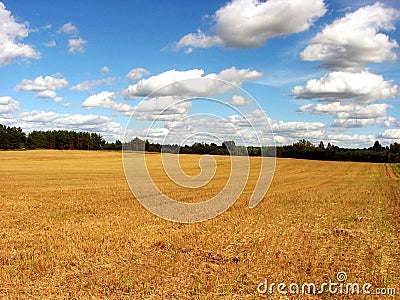 Harvested field Stock Photo