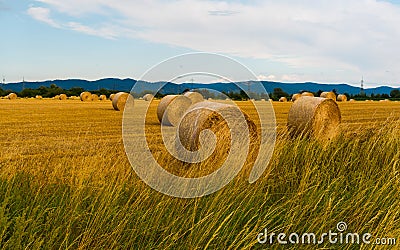 Harvested field with straw bales, blue sky Stock Photo