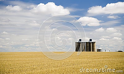 Harvested Fields with Silo Stock Photo