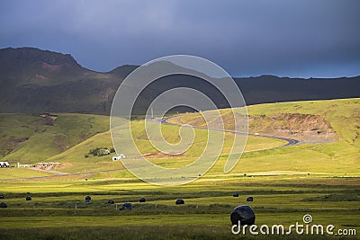 Harvested meadow field in Iceland at summer time Stock Photo