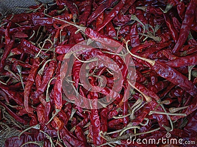 Harvested Teja chilies that are already in sacks Stock Photo