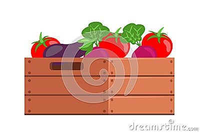 Harvested vegetable in crate isolated on white Vector Illustration