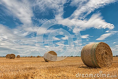 Harvested wheat fields Stock Photo