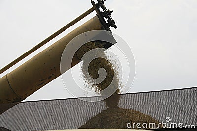 Harvester Stock Photo