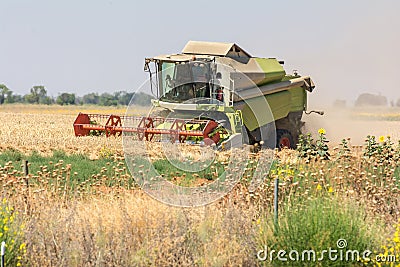 Harvester collecting wheat in summer Stock Photo