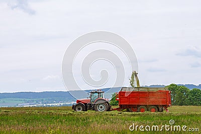 The harvester collects freshly cut grass into a tractor trailer Editorial Stock Photo