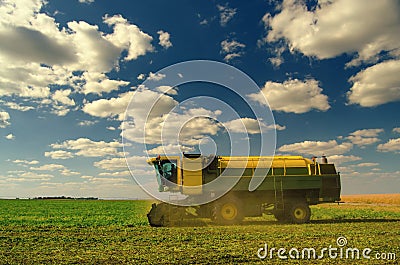 Harvester combine on a field of peas Editorial Stock Photo