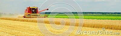 Harvester combine harvesting wheat in summer Stock Photo