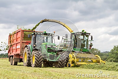 Harvester forager cutting field, loading Silage into a Tractor Trailer Editorial Stock Photo