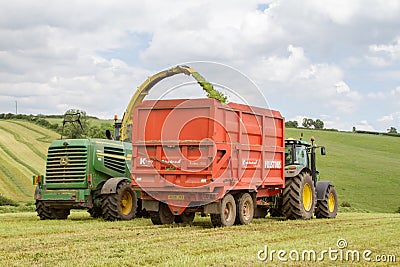 Harvester forager cutting field, loading Silage into a Tractor Trailer Editorial Stock Photo