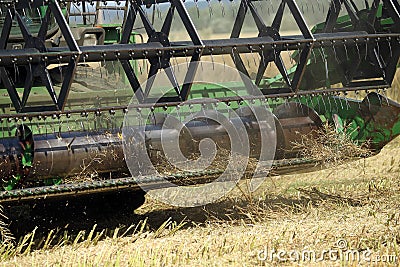 Harvester harvester collecting ripe rapeseed beans on the field. Lithuania Editorial Stock Photo