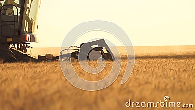 Harvester mower mechanism cuts wheat spikelets. Agricultural harvesting works. the harvester moves in field and mows Stock Photo