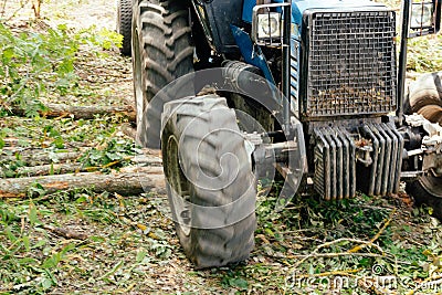 Harvester rides in the forest. Wheels in motion close up. Selective focus. Wood harvesting Stock Photo