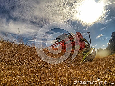 Harvester at work in summer sun Stock Photo