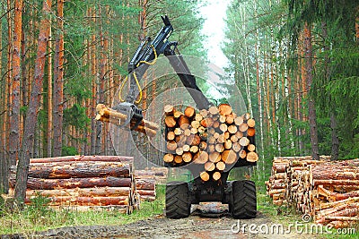 The harvester working in a forest. Stock Photo