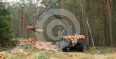 The harvester working in a forest. Stock Photo