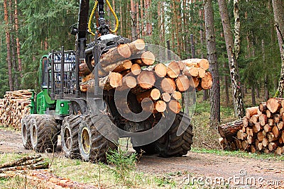 The harvester working in a forest. Stock Photo