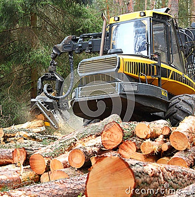 The harvester working in a forest. Stock Photo