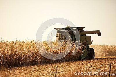 Harvesting Stock Photo