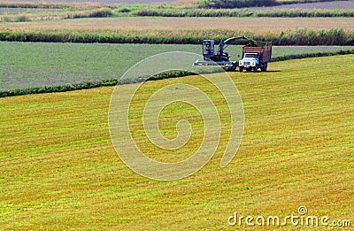 Harvesting Stock Photo