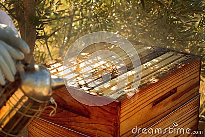 Harvesting a bee hive on a farm Stock Photo