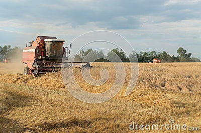 Harvesting of bread by harvesters - harvesting. Stock Photo