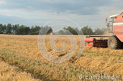 Harvesting of bread by harvesters - harvesting. Stock Photo