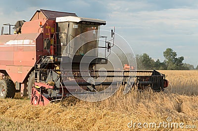 Harvesting of bread by harvesters - harvesting. Stock Photo