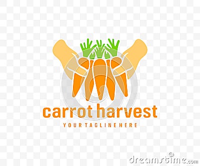 Harvesting carrots, vegetable, agriculture, food and meal, graphic design Vector Illustration