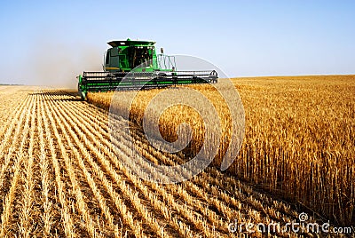 Harvesting combine Stock Photo