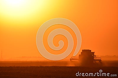 Harvesting by combines at sunset. Stock Photo