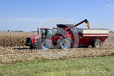 Harvesting Corn Stock Photo