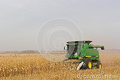 Harvesting Corn Editorial Stock Photo