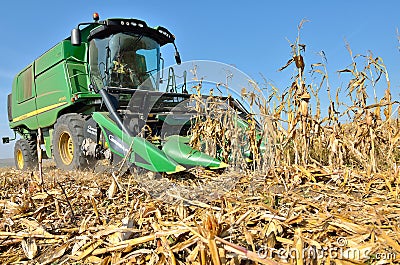 Harvesting the corn field Editorial Stock Photo