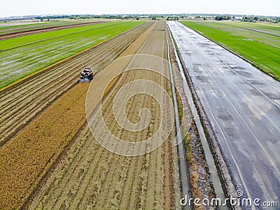 Harvesting farm, Harvester machinery in field. Stock Photo